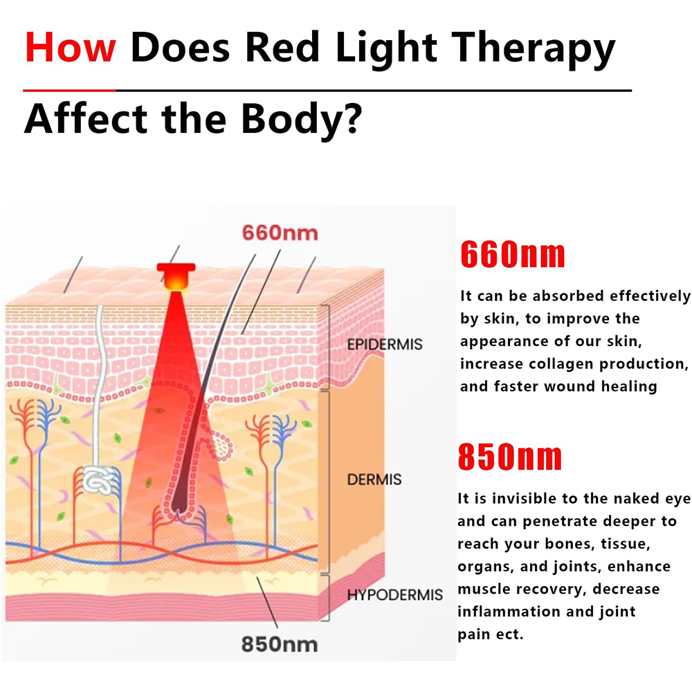 2025 Novo cinto de luz vermelh - Galvanic Skin Sensor avaliação e preço